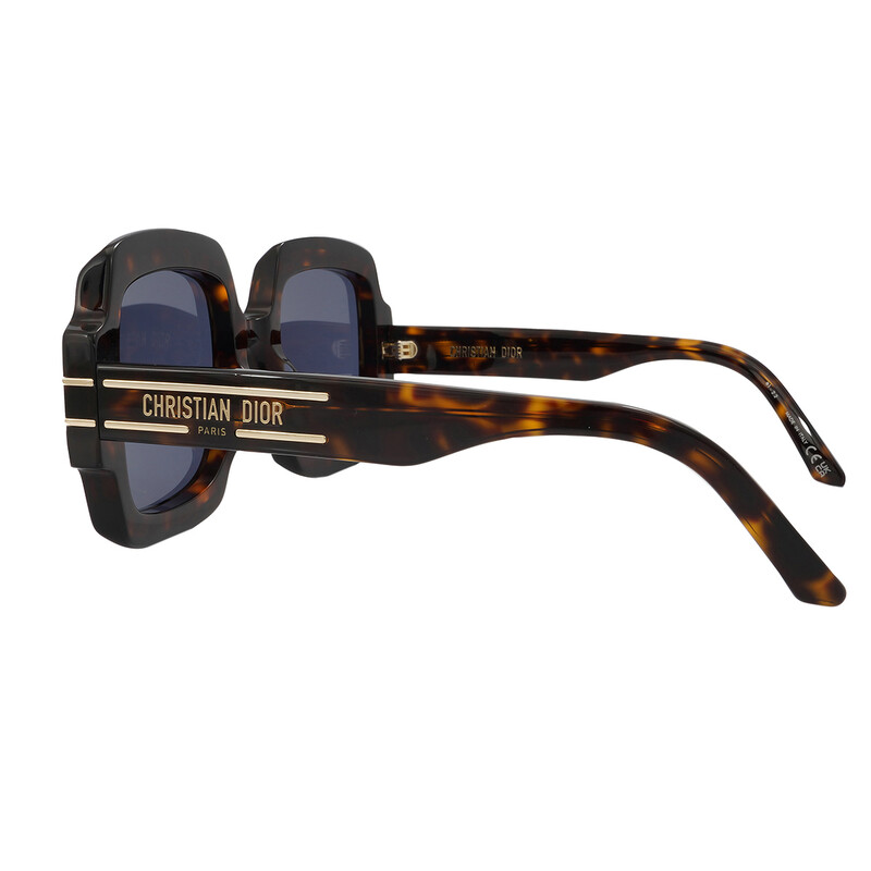 Dior Blue Square Ladies Sunglasses DIORSIGNATURE S1U 20B0 55