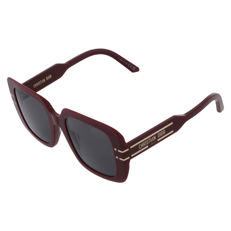 Dior DIORSIGNATURE S11I Smoke Square Ladies Sunglasses CD401711
