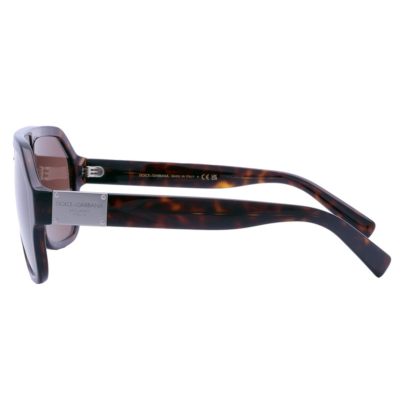 Dolce & Gabbana Dark brown Navigator Men's Sunglasses DG4433 502