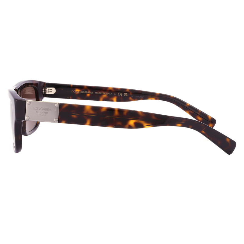 Dolce & Gabbana Dark brown Rectangular Men's Sunglasses DG4432 502