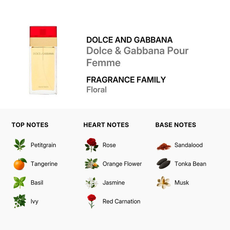 Dolce & Gabbana Ladies Dolce & Gabbana Pour Femme EDT Spray 3.4 oz