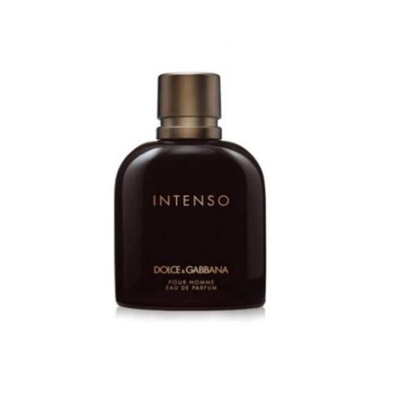 Dolce & Gabbana Men's Intenso EDP Spray 4.23 oz Fragrances