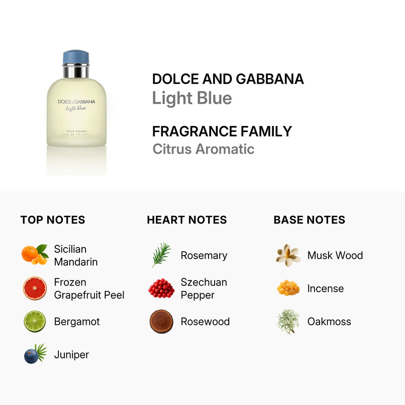 Dolce and Gabbana Men's Light Blue EDT Spray 4.2 oz (Tester)