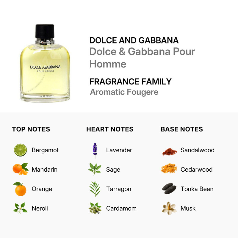 Dolce and Gabbana Men's Pour Homme EDT Spray 4.2 oz (Tester) Fragrances 3423473026785