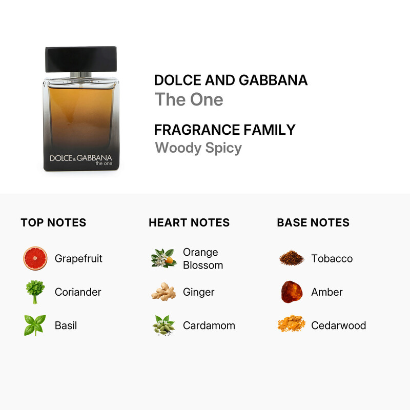 Dolce & Gabbana Men's The One EDP Spray 1.7 oz Fragrances