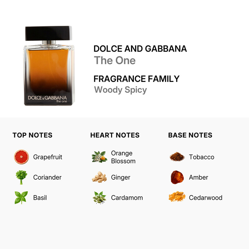 DOLCE&amp;GABBANA カットソー ノースリーブ 絹 シルク混 36 茶 DOLCE&GABBANA（ドルチェ & ガッバーナ） ドルガバ カットソー