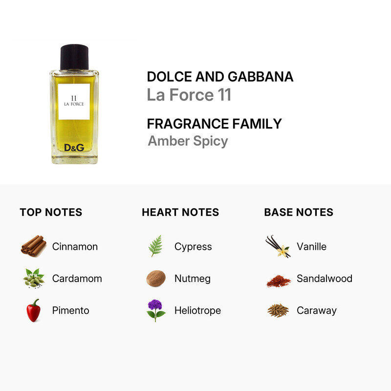 Dolce & Gabbana Unisex La Force 11 EDT Spray 3.4 oz Fragrances