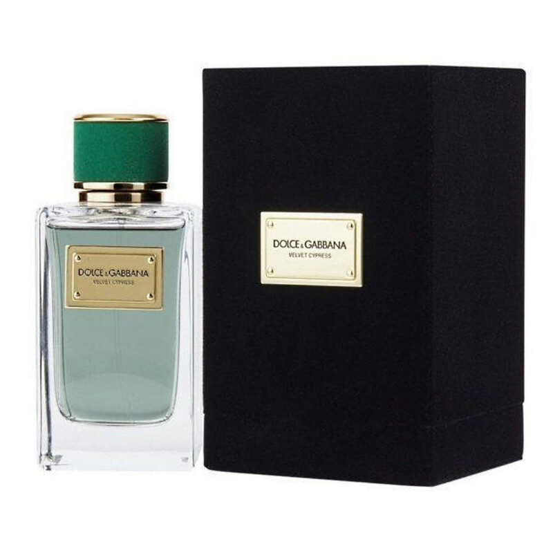 Dolce & Gabbana Unisex Velvet Cypress EDP 5.0 oz Fragrances
