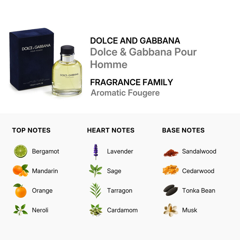 Dolce & Gabbana Dolce & Gabbana Men / Dolce & Gabbana EDT Spray