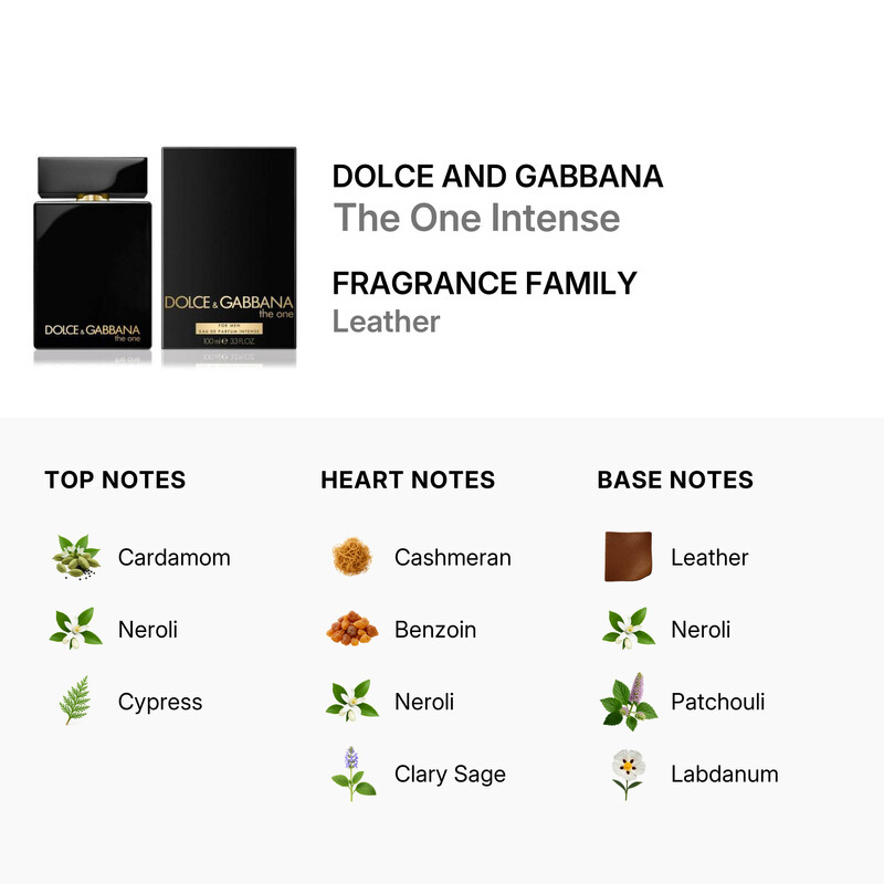 Dolce & Gabbana Dolce & Gabbana Men's The One Intense EDP Spray