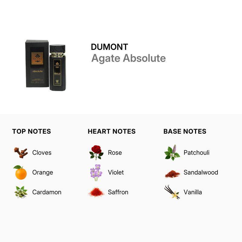 Dumont Men's Agate Absolute EDP Spray 3.4 oz Fragrances