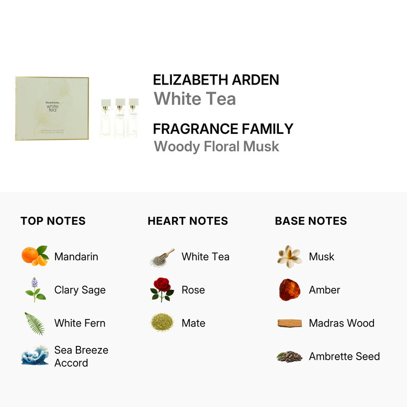 Elizabeth Arden Ladies White Tea Gift Set Fragrances 085805260583