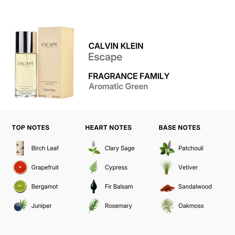 Calvin Klein Escape Men/Calvin Klein Edt Spray 3.4 Oz (M