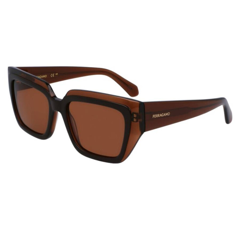 Ferragamo Brown Square Ladies #265777F83B Ferragamo Salvatore Ferragamo Brown Square Ladies Sunglasses  main image 4