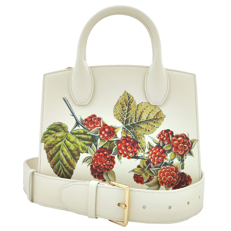 Ferragamo Floral Print Studio Top Handle Box Bag 211496 769955
