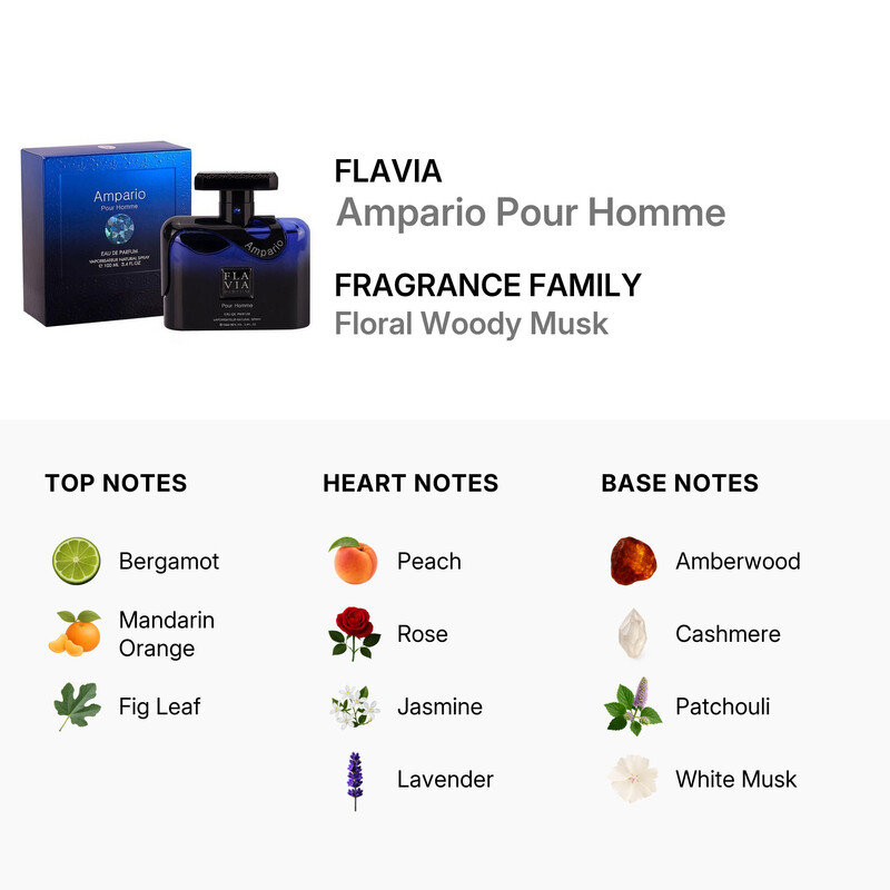 Flavia Men's Ampario Pour Homme EDP Spray 3.4 oz Fragrances