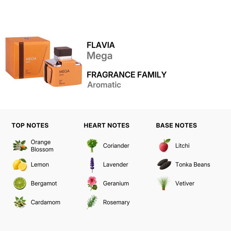 Flavia Men's Mega EDP 3.4 oz Fragrances 6294015100044 - Fragrances