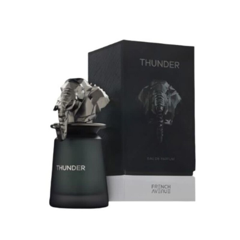 French Avenue Unisex Thunder EDP Spray 3.38 oz Fragrances 6290360379517