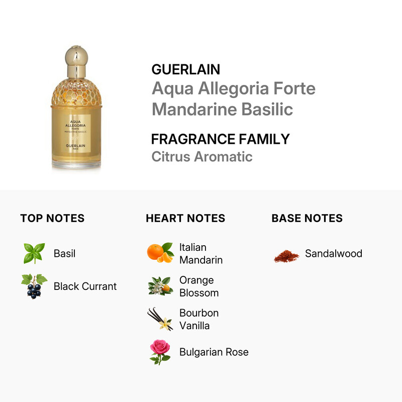 Guerlain Ladies Aqua Allegoria Forte Mandarine Basilic EDP Spray