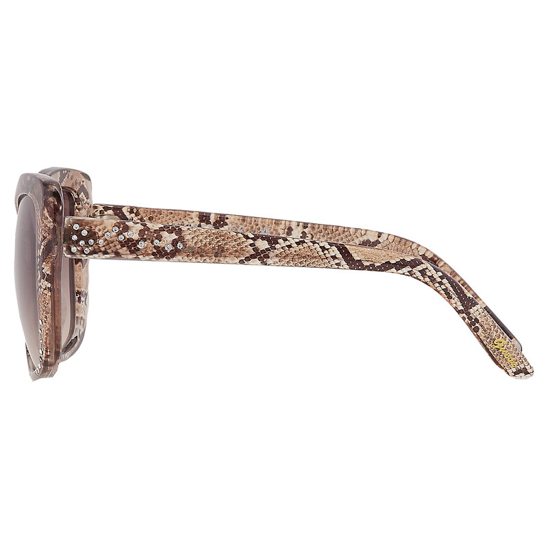 Guess Factory Brown Gradient Butterfly Ladies Sunglasses GF0383
