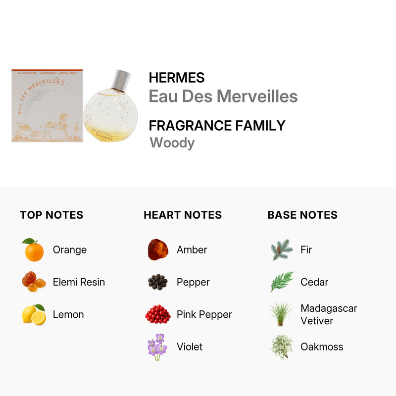 Hermes Ladies Eau Des Merveilles EDT Spray 1.0 oz Fragrances