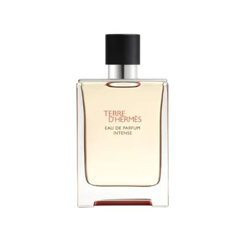 Hermes Men's Terre D'Hermes Intense EDP Spray 3.38 oz (Tester) Fragrances 3346130424123