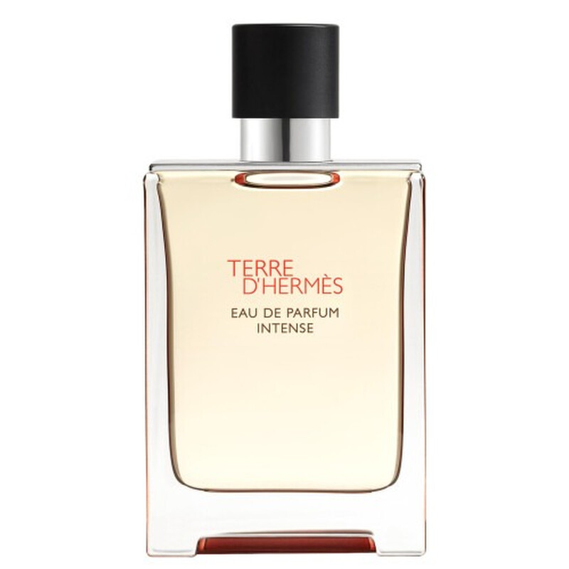 Hermes Men's Terre D'Hermes Intense EDP Spray 3.4 oz Fragrances