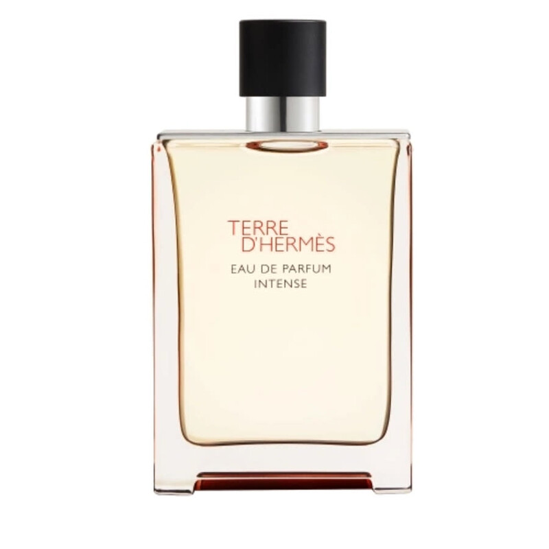 Hermes Men's Terre D'Hermes Intense EDP Spray 6.0 oz Fragrances 3346130020080