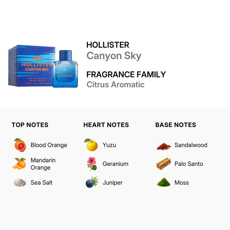 Hollister Men's Canyon Sky EDT Spray 3.4 oz Fragrances 0