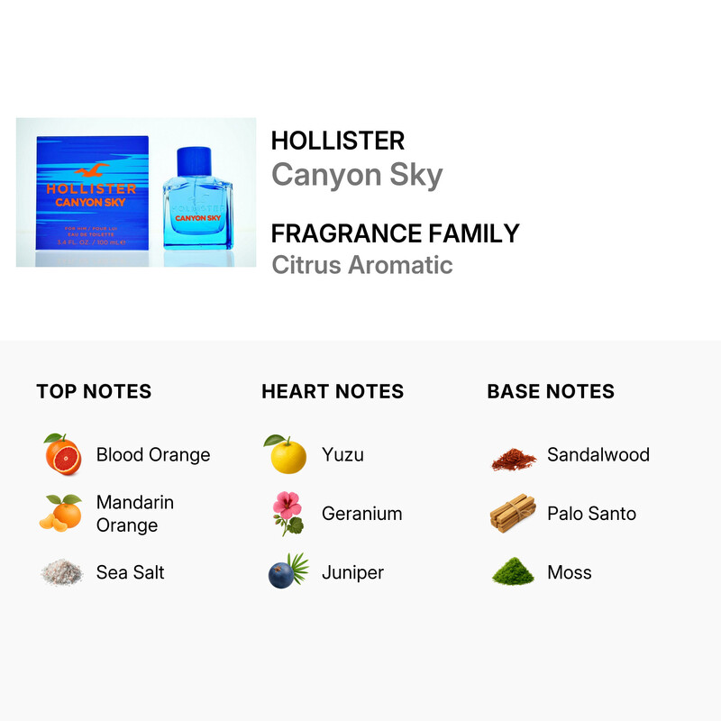 Hollister Men's Canyon Sky EDT Spray 3.4 oz Fragrances 0