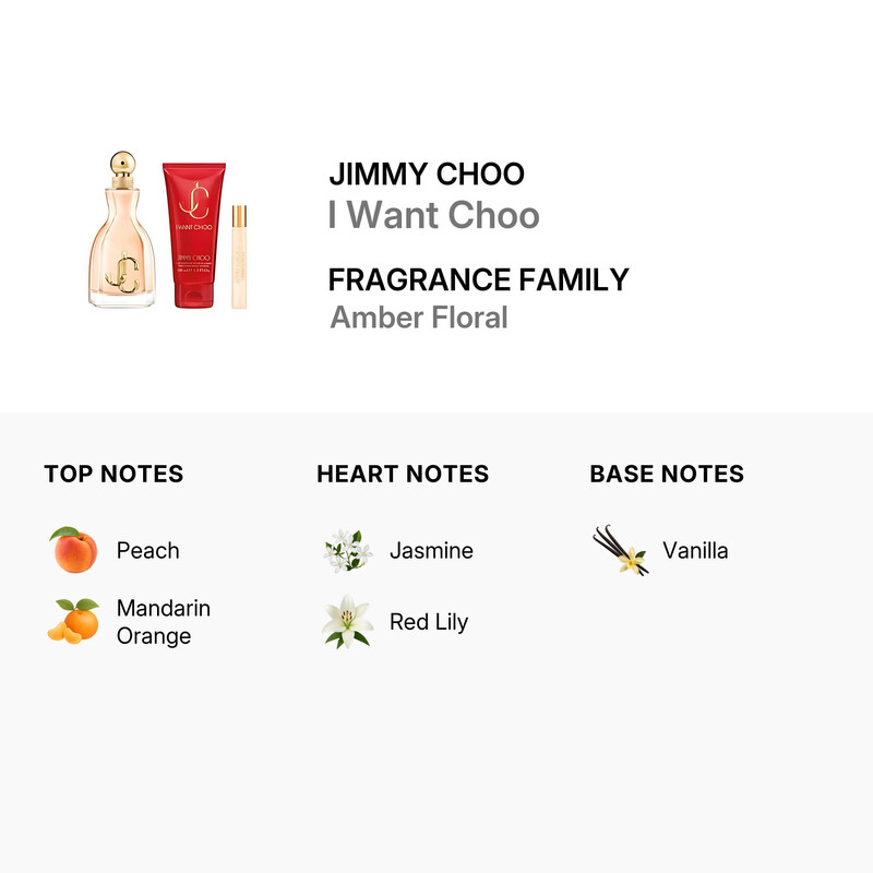 Jimmy Choo Ladies I Want Choo 3pcs EDP Gift Set Fragrances