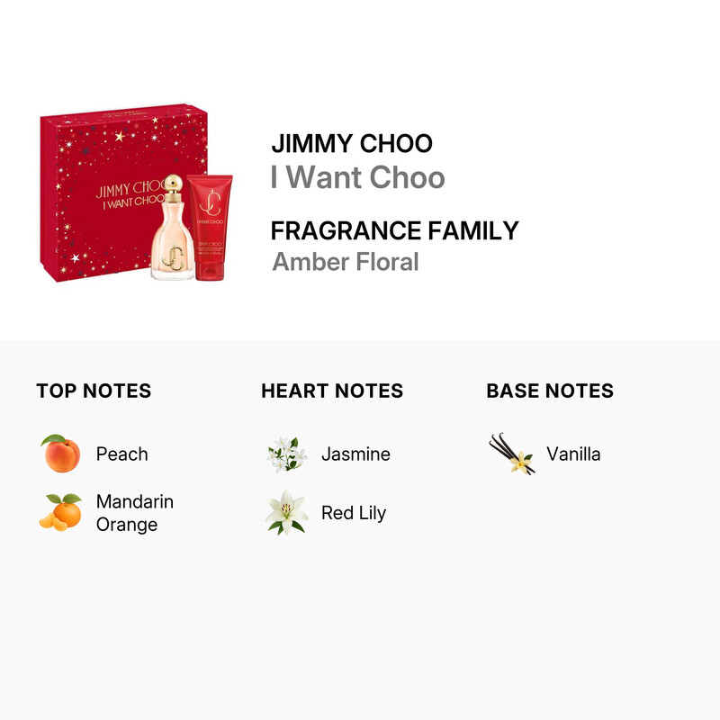 Jimmy Choo Ladies I Want Choo Gift Set Fragrances 3386460139854