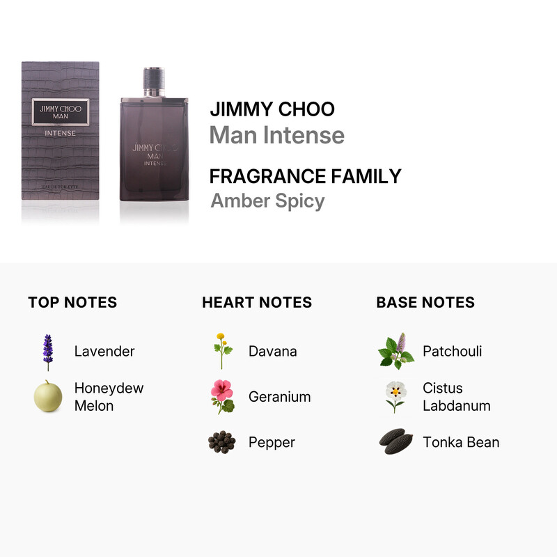 Jimmy Choo Man Intense by Jimmy Choo EDT Spray 3.3 oz (100 ml) (m
