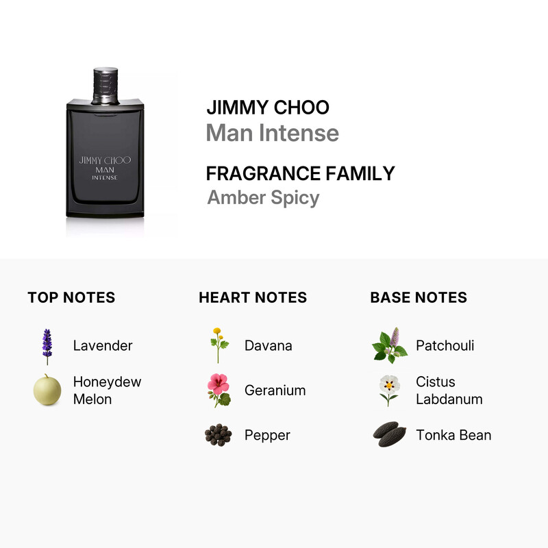Jimmy Choo Man Intense / Jimmy Choo EDT Spray 6.7 oz (200 ml) (m