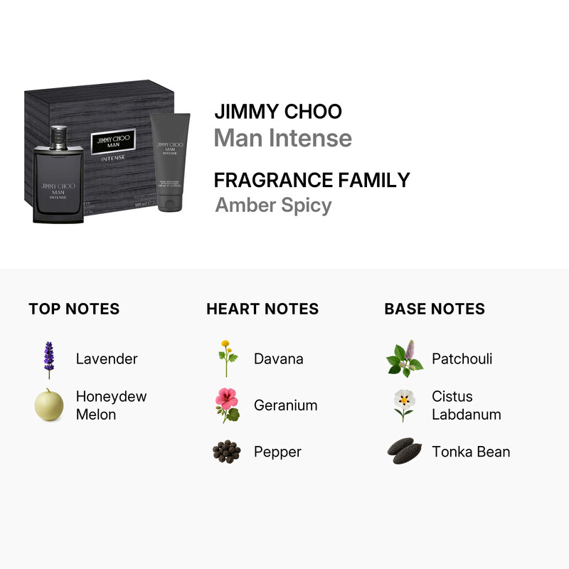 Jimmy Choo Men's Man Intense 2pcs EDT Gift Set Fragrances