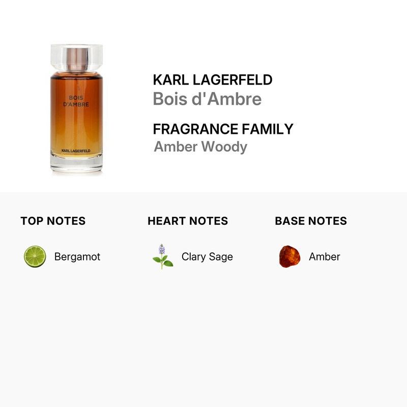 Karl Lagerfeld Men's Bois d'Ambre EDT 3.4 oz Fragrances