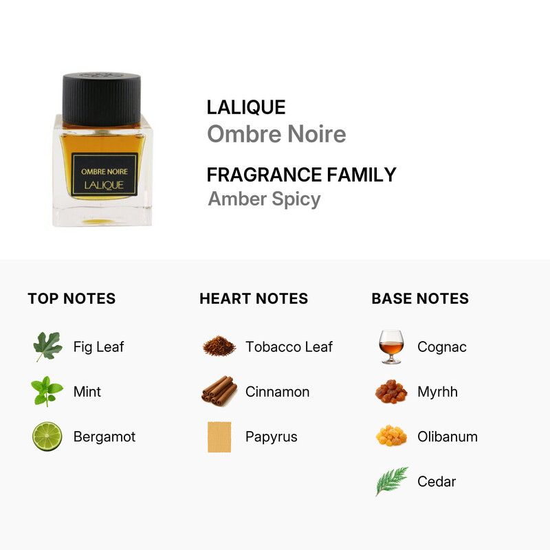 Lalique Men's Ombre Noire EDP Spray 3.3 oz Fragrances