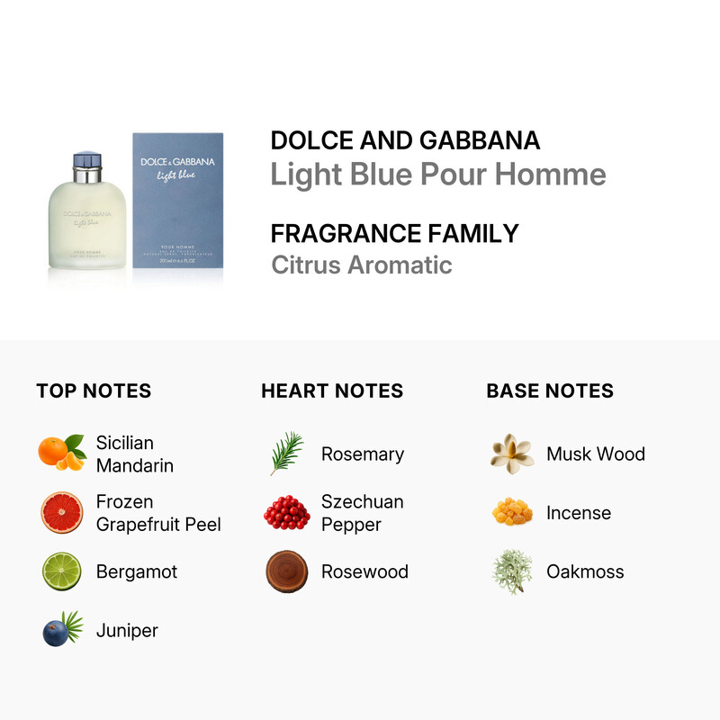 Dolce & Gabbana Light Blue Pour Homme / Dolce & Gabbana EDT 6.7 oz