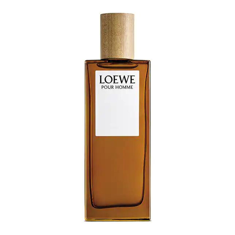 Loewe Men's pour Homme EDT Spray 3.4 oz Fragrances 8426017070119