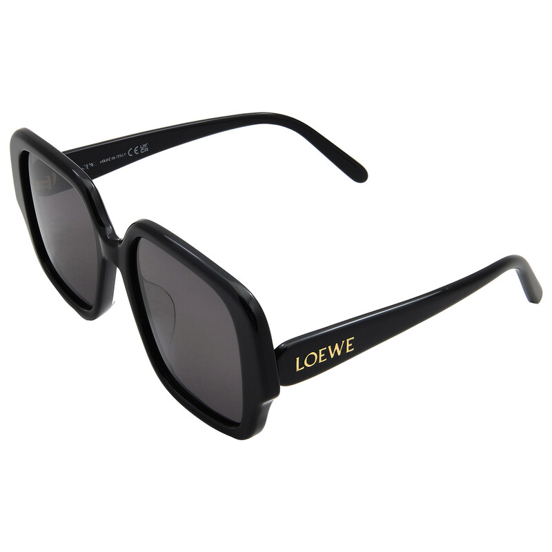 Loewe Smoke Square Ladies Sunglasses LW40134U 01A 54 192337165092