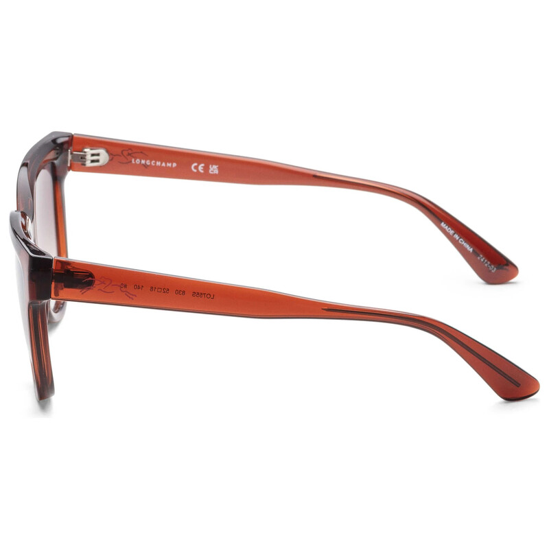 Longchamp Brown Gradient Cat Eye Ladies Sunglasses LO755S  display picture 1