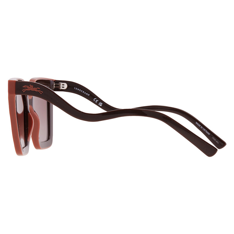Longchamp Brown Gradient Irregular Ladies Sunglasses LO792S  display picture 1