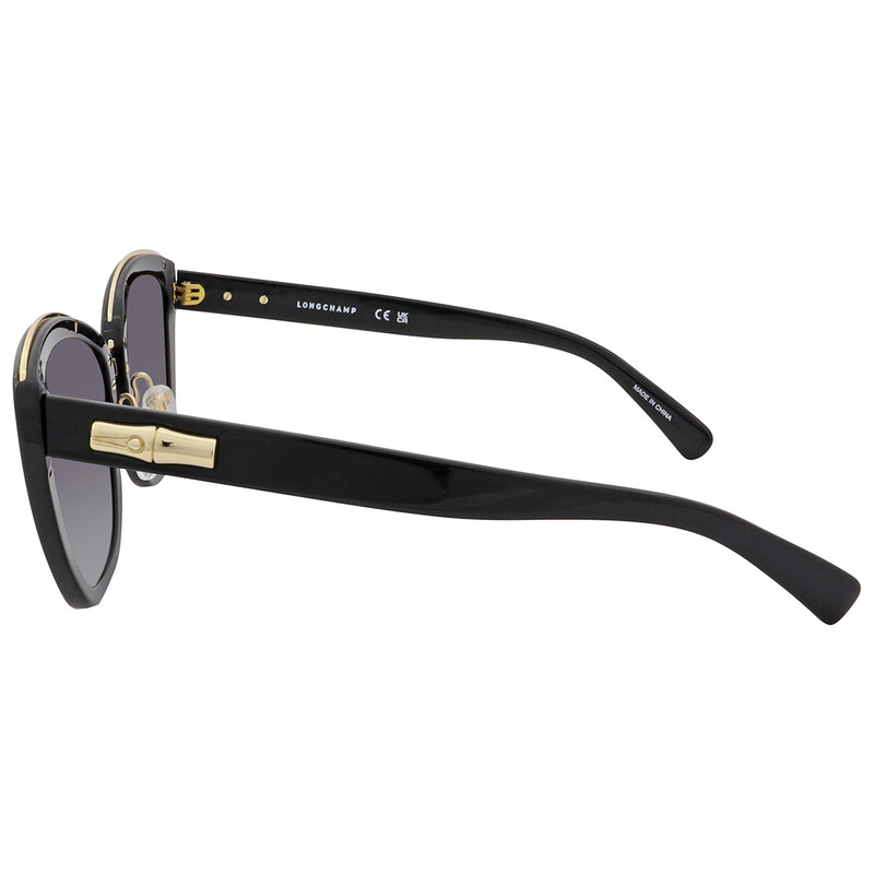 Longchamp Sunglasses LO687S 001 Longchamp Women main image 2