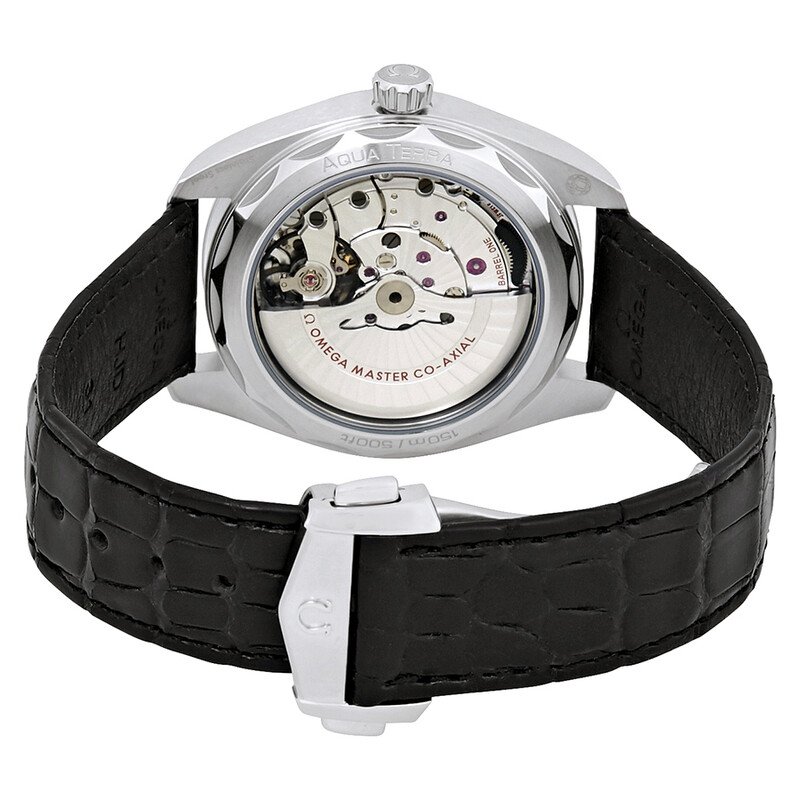 Omega Seamaster Aqua Terra Automatic Black Dial 41 mm Men's Watch