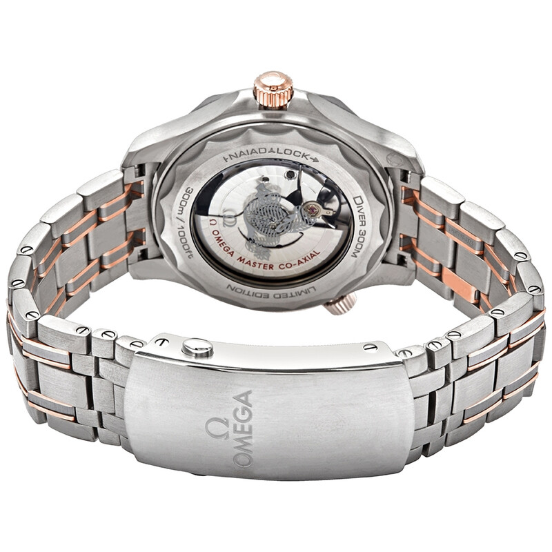 Omega Seamaster Automatic Grey Dial Men's Watch 210.60.42.20