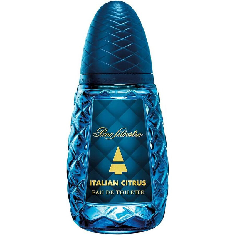 Pino Silvestre Men's Italian Citrus EDT Spray 2.5 oz (Tester) Fragrances 679602109987