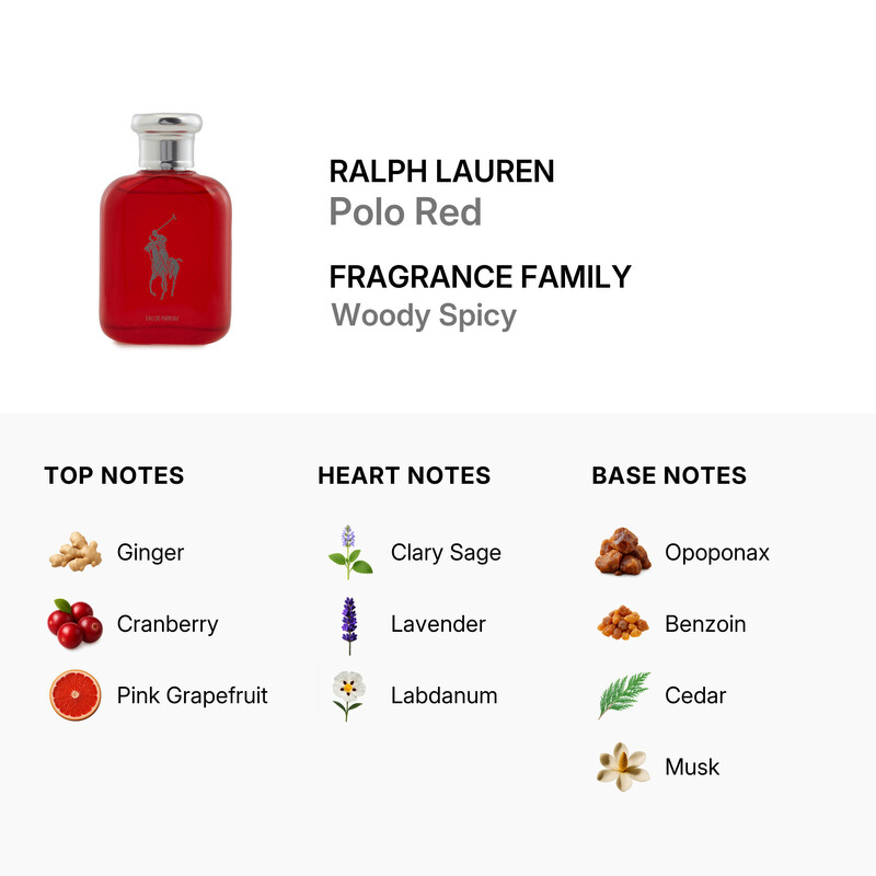 悠　Polo by Ralph Lauren 赤 Ralph Lauren Polo Red Eau de Toilette with Grapefruit & Coffee