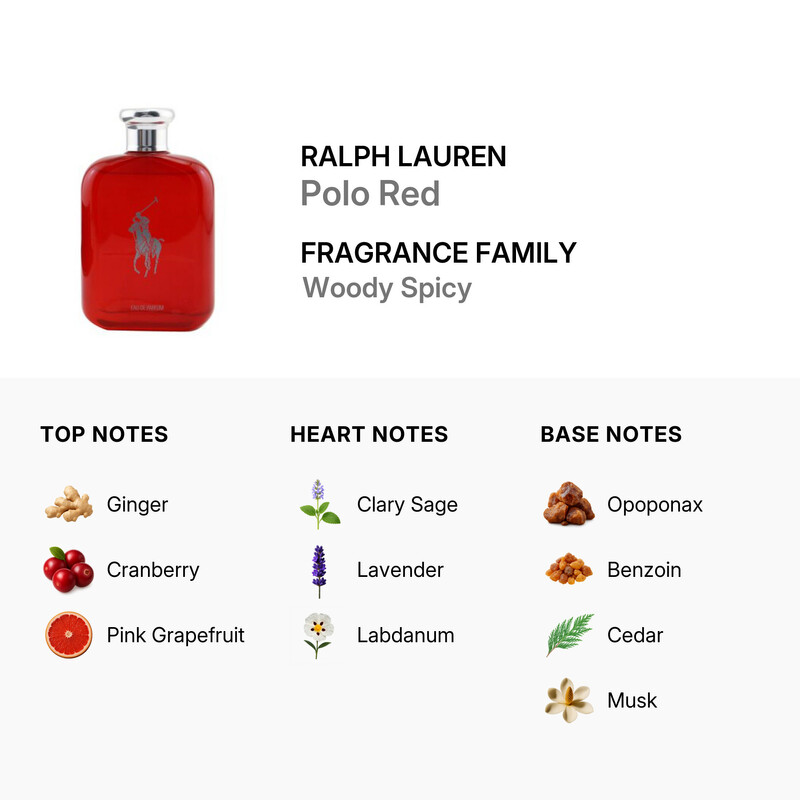 ペロンペロンチーノ アメリカ製 POLO BY RALPH LAUREN Ralph Lauren Polo Red / Ralph Lauren EDP Spray 4.2 oz (125 ml) (M