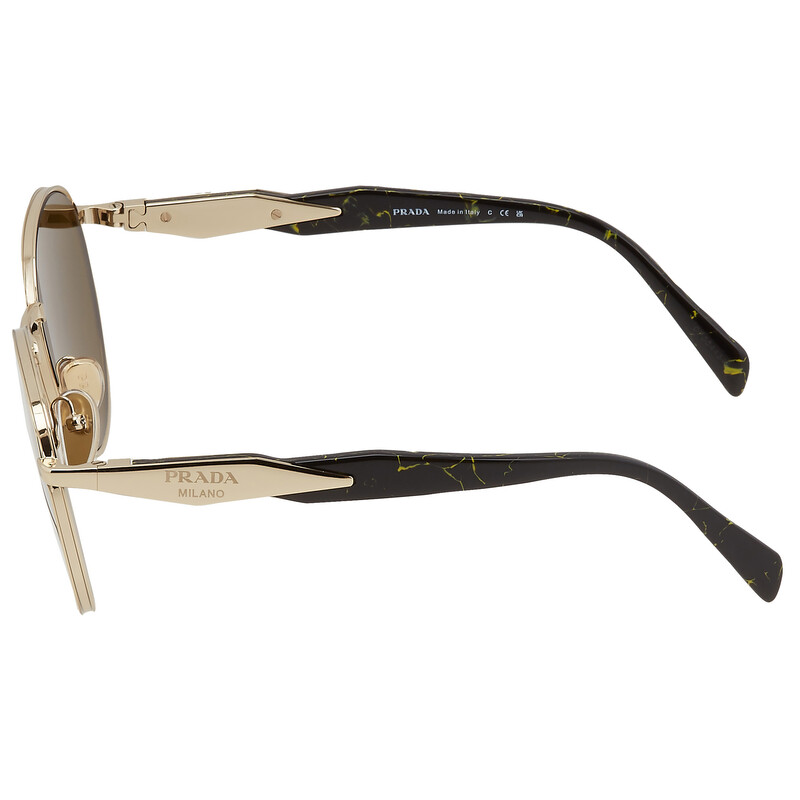 Prada Dark Brown Oval Ladies Sunglasses PR 56ZS ZVN01T 54