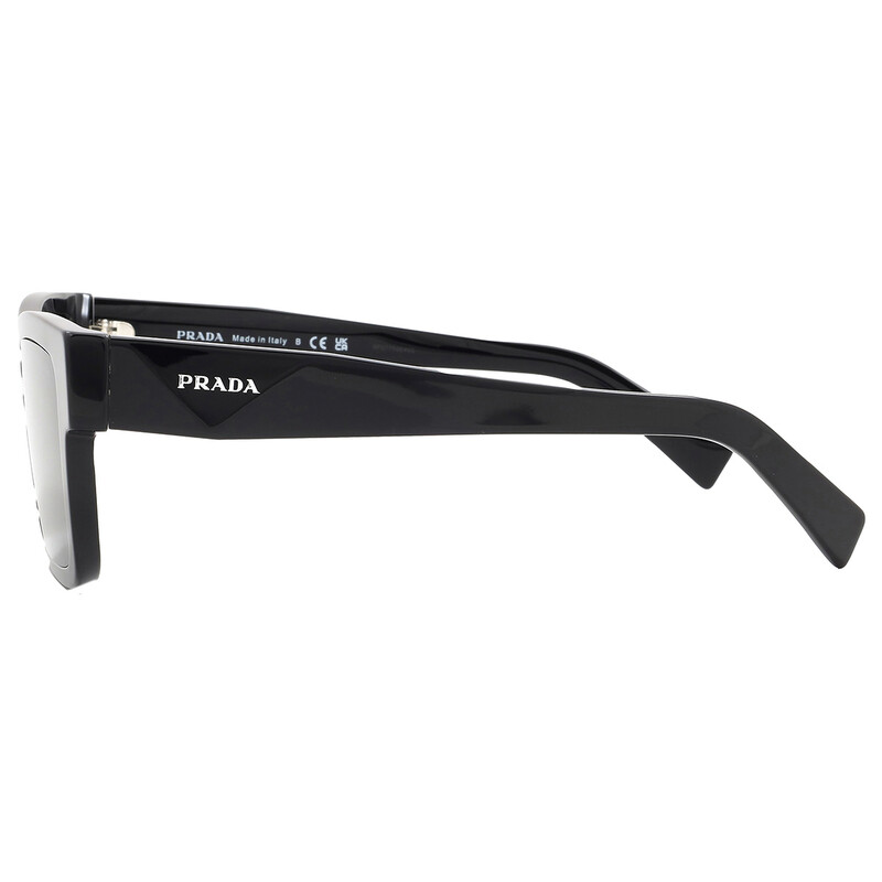 Prada Dark Grey Browline Men's Sunglasses PR 19WS 1AB5S0 52